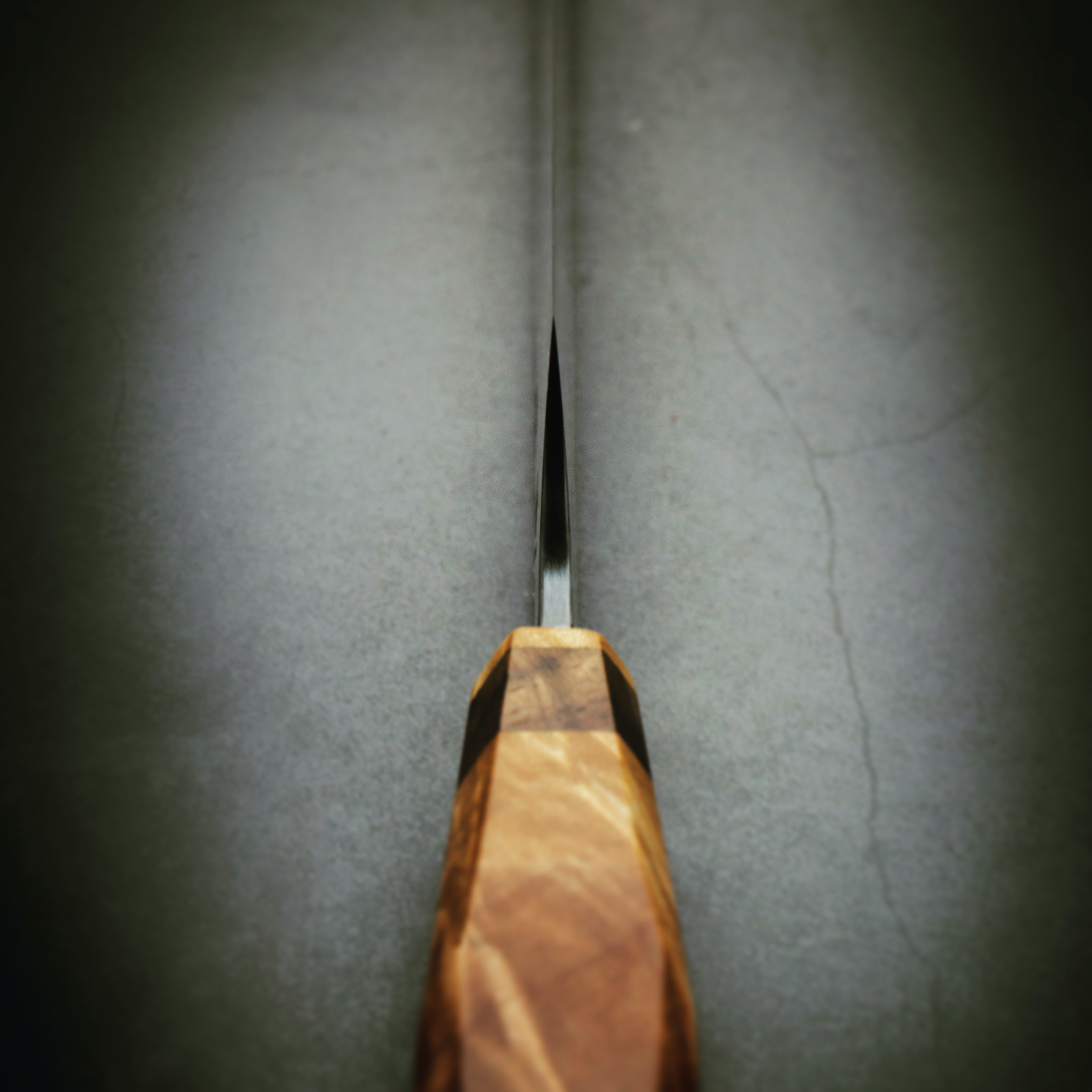300mm Wander Sujihiki
