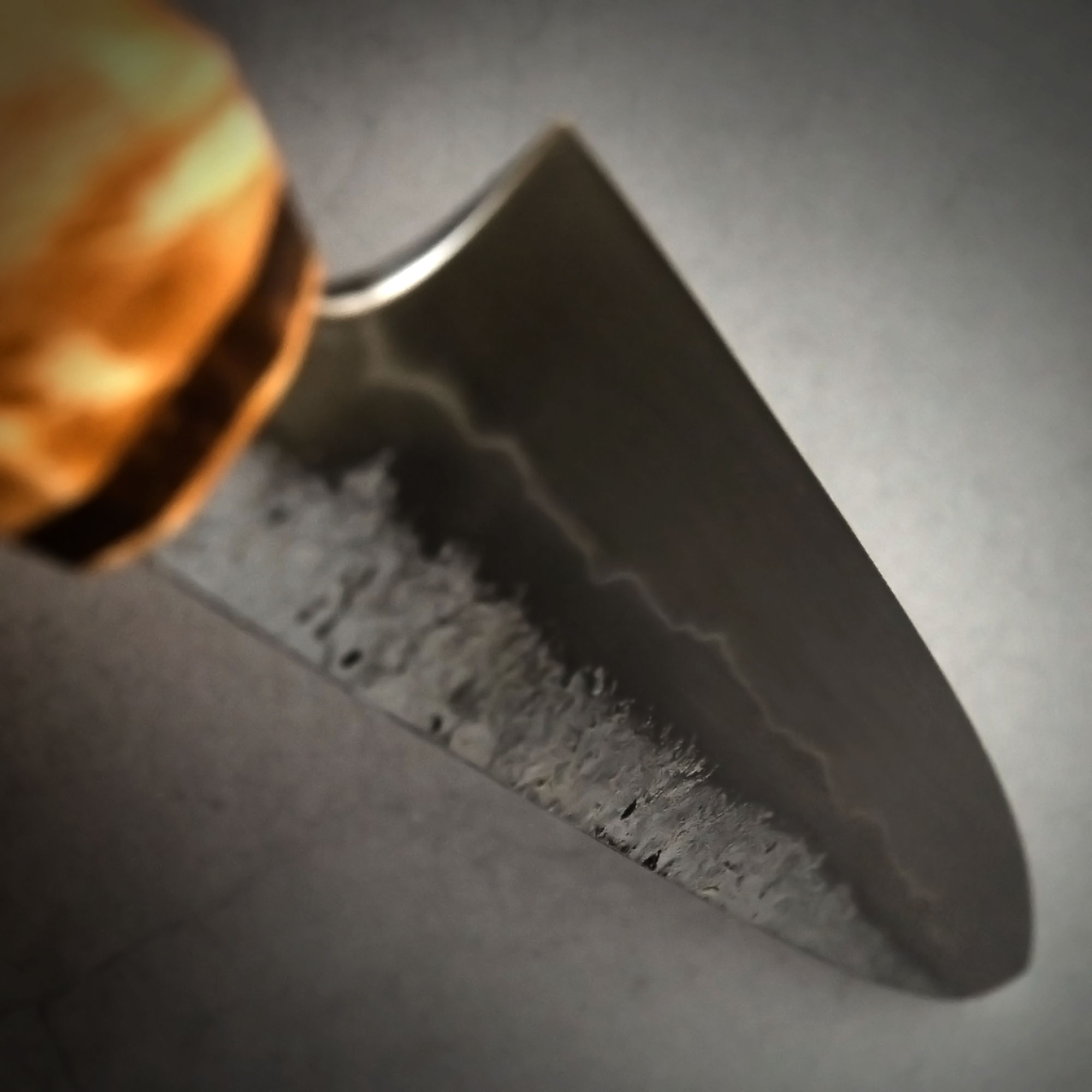 300mm Wander Sujihiki