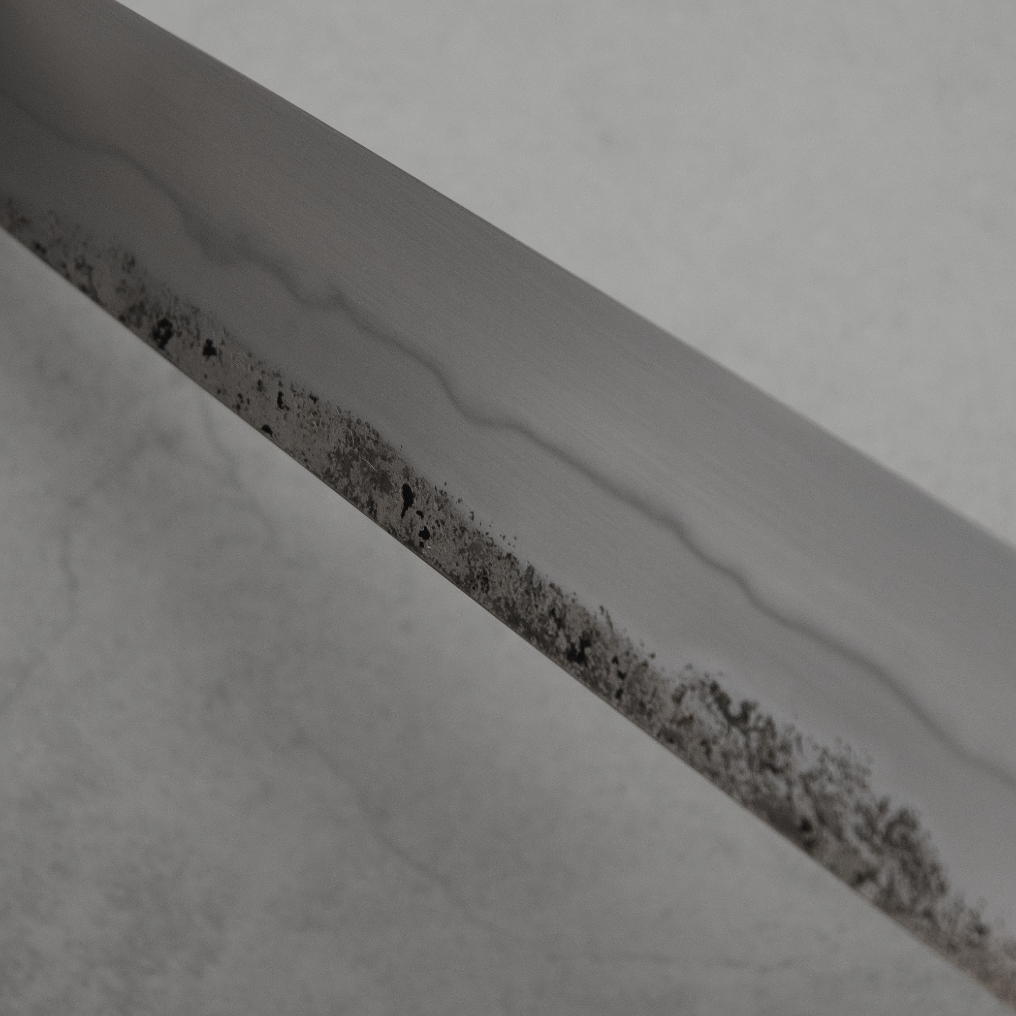 300mm Wander Sujihiki