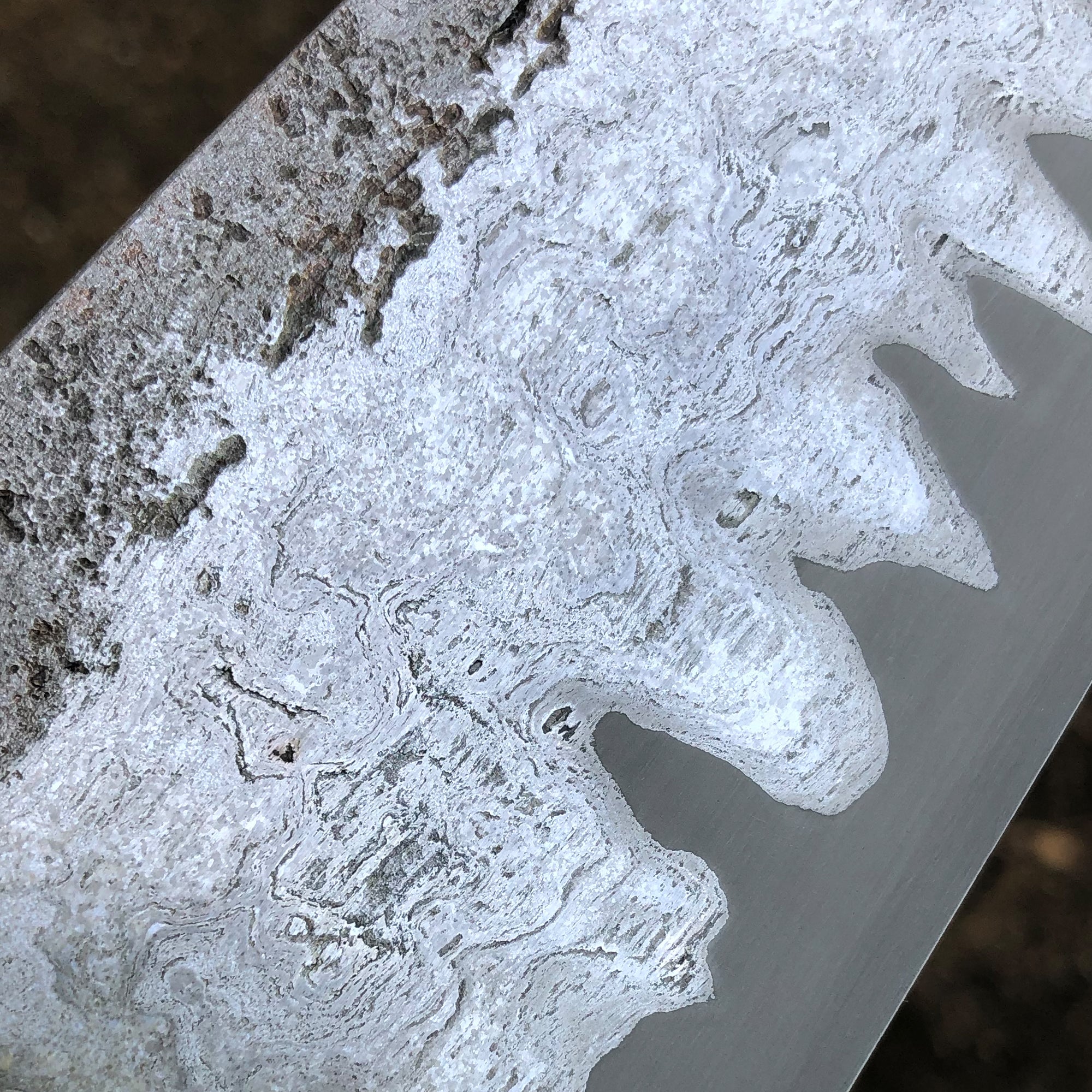 8" Custom Farm House Chef Knife